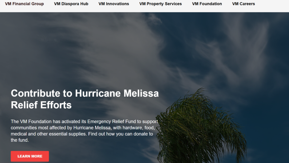 VM Wealth Funds — аналитический обзор инвестиционного направления VM Group (2025)